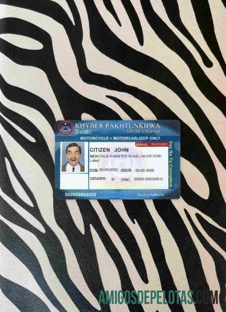 Paquistão DL fotovisual frontal exemplo real